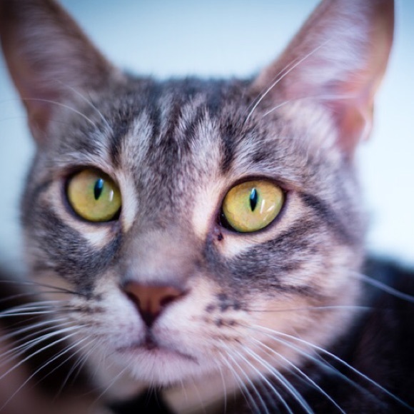 it me - Picture 1 of 4